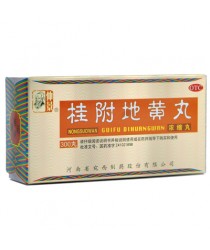 Pills "Golden Chest / Gui Fu Di Huang Wan" (Guifu Dihuang Wan)